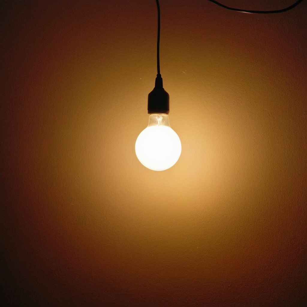 Edison Lighting product portfolio design